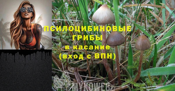 метадон Бородино